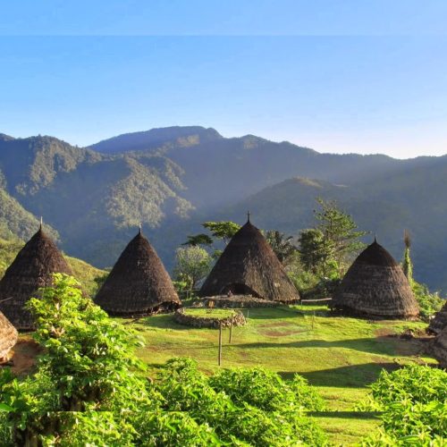 paket tour waerebo