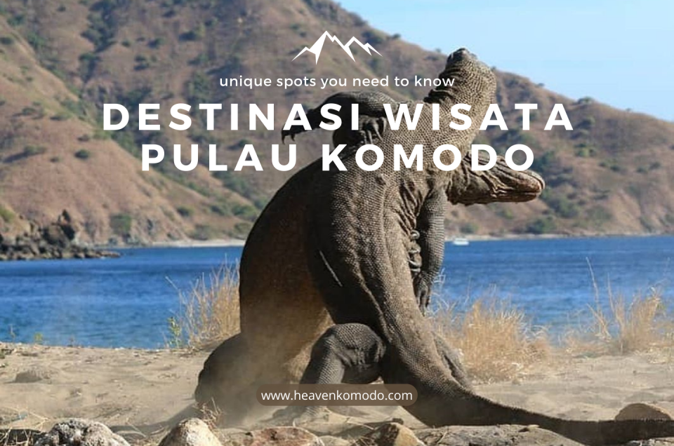 Destinasi Wisata di Taman Nasional Komodo