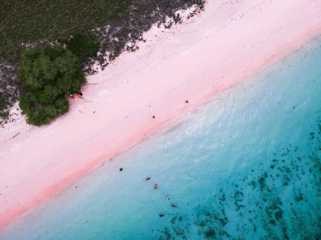 pantai pink labuan bajo