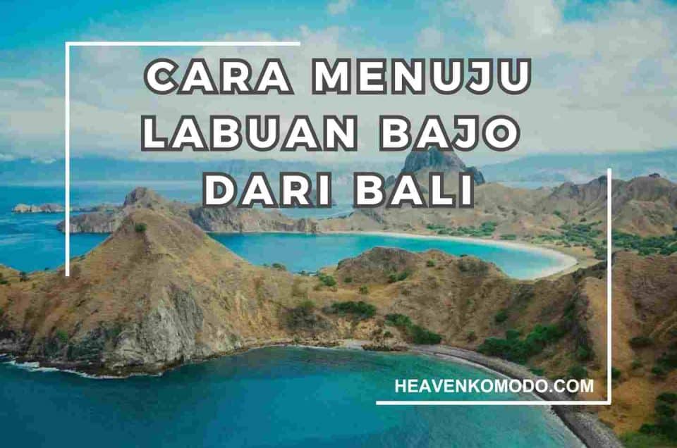 cara ke labuan bajo dari bali