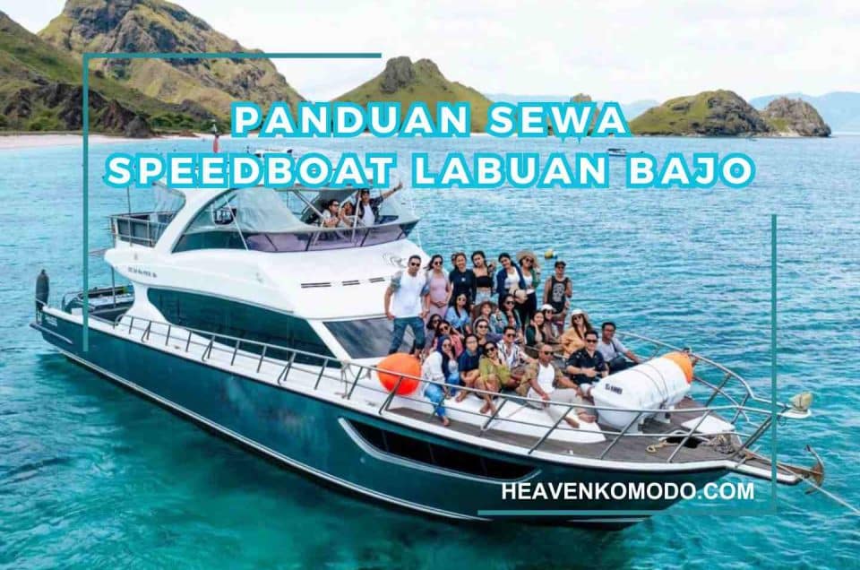 sewa speedboat labuan bajo