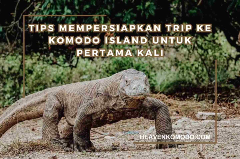 tips persiapan trip komodo island