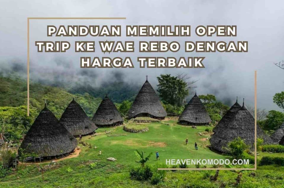 trip wae rebo