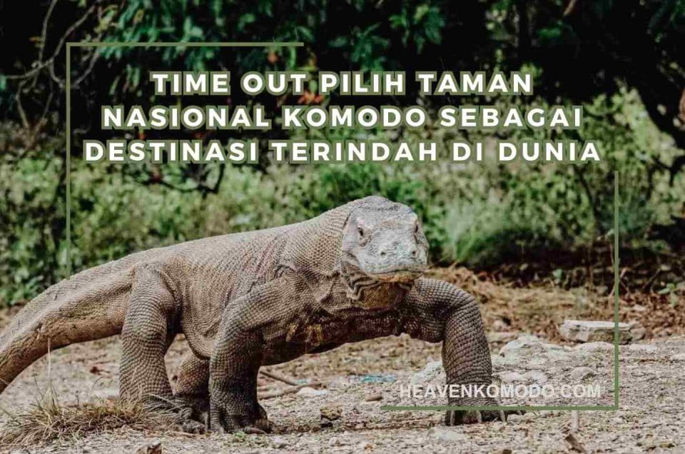 taman nasional komodo