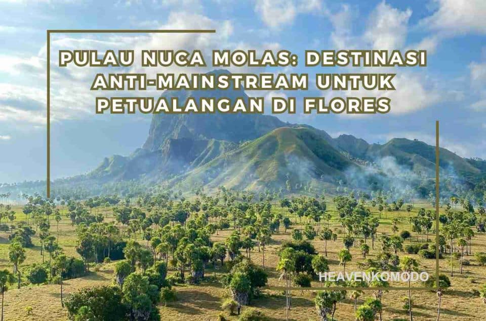 nuca molas