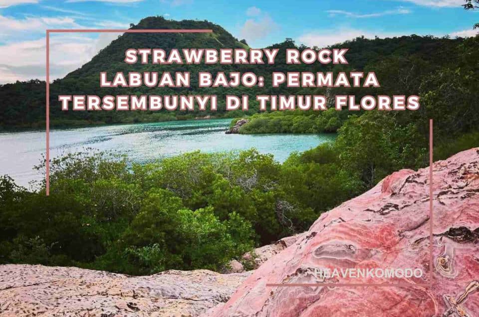 karang merah muda Strawberry Rock Labuan Bajo