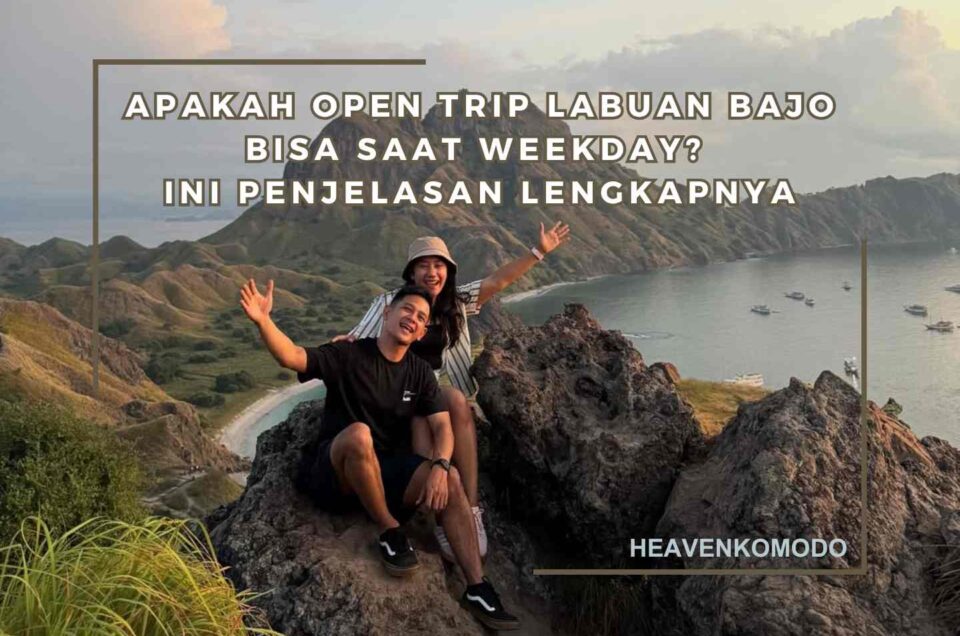 open trip Labuan Bajo weekday di Pulau Padar dengan pemandangan laut dari puncak