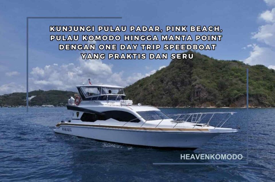 Panduan One Day Trip Labuan Bajo dengan Speedboat 2026