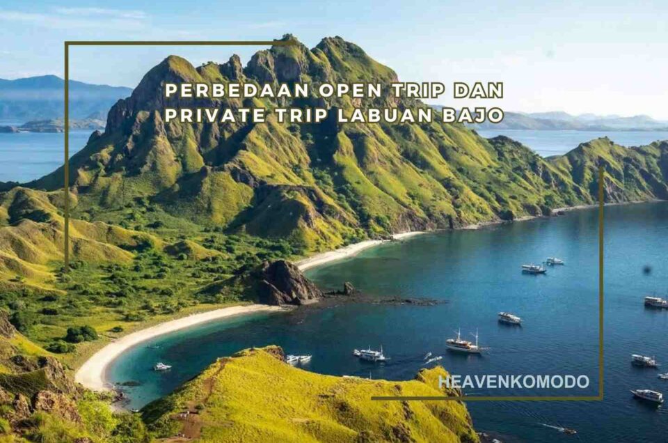 Open Trip atau Private Trip Labuan Bajo? Ini Perbedaan dan Cara Memilihnya
